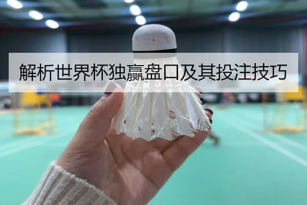 解析世界杯独赢盘口及其投注技巧