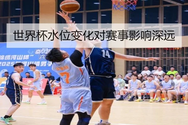img_1780505511559_57_2_107.jpg